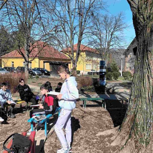 643526977 122245772474101006 5073579331464065867 n