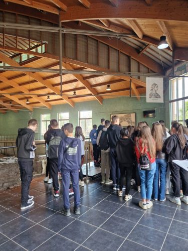 678913484 122251385510101006 8751938025783993112 n